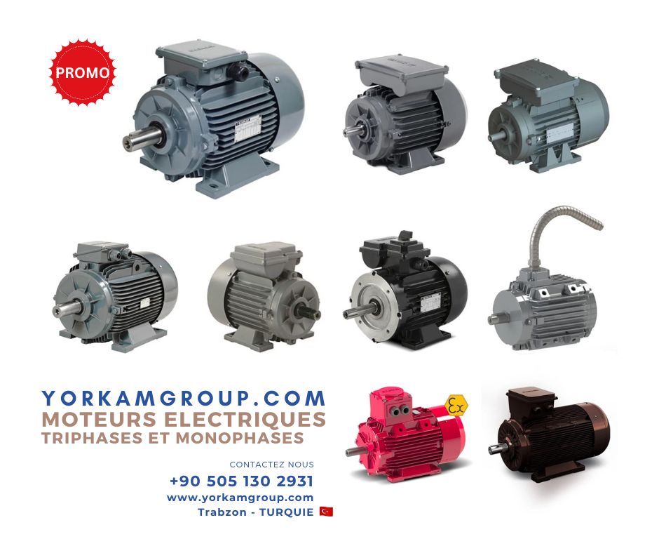 Moteur triphase monophase Gamak, Atex 22 - Aluminium, Atex 22 - Fonte, Moteurs à condensateur permanent, Moteurs à double vitesse d'évacuation des fumées - F300, Moteurs à double vitesse en aluminium, Moteurs à double vitesse en fonte, Moteurs à interrupteur centrifuge à démarrage + condensateur permanent, Moteurs antidéflagrants, Moteurs compactes, Moteurs de concassage de pierres, Moteurs de démarrage + relais électroniques à condensateur permanent, Moteurs de traite de lait, Moteurs d'évacuation des fumées - F300, Moteurs en aluminium, Moteurs en fonte,