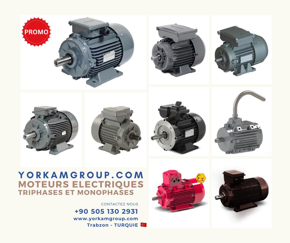 Moteur triphase monophase Gamak Atex 22 - Aluminium, Atex 22 - Fonte, Moteurs à condensateur permanent, Moteurs à double vitesse d'évacuation des fumées - F300, Moteurs à double vitesse en aluminium, Moteurs à double vitesse en fonte, Moteurs à interrupteur centrifuge à démarrage + condensateur permanent, Moteurs antidéflagrants, Moteurs compactes, Moteurs de concassage de pierres, Moteurs de démarrage + relais électroniques à condensateur permanent, Moteurs de traite de lait, Moteurs d'évacuation des fumées - F300, Moteurs en aluminium, Moteurs en fonte,